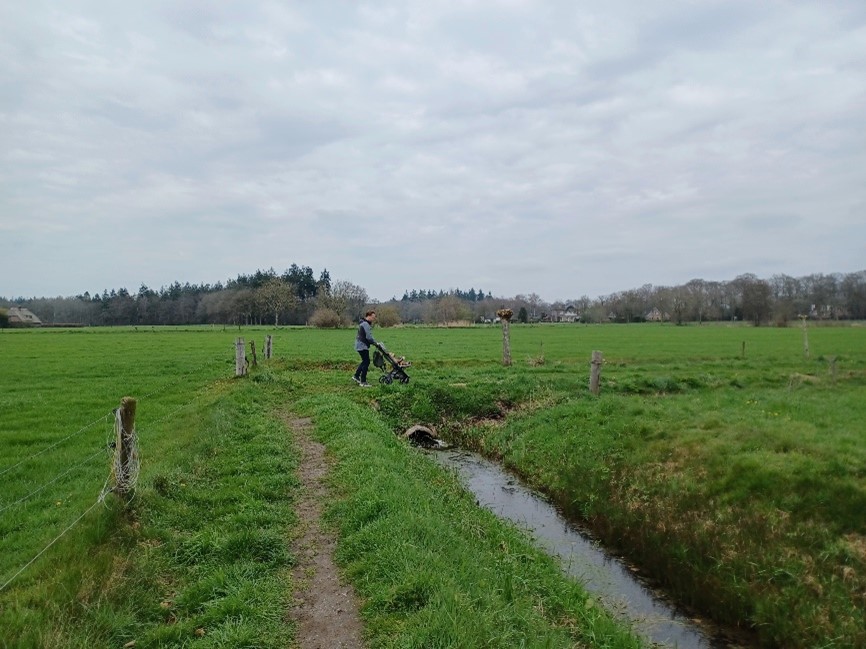 Overgangszone agrarisch gebied naar landgoederenzone (in noordelijke richting, richting Kolthoornseweg)