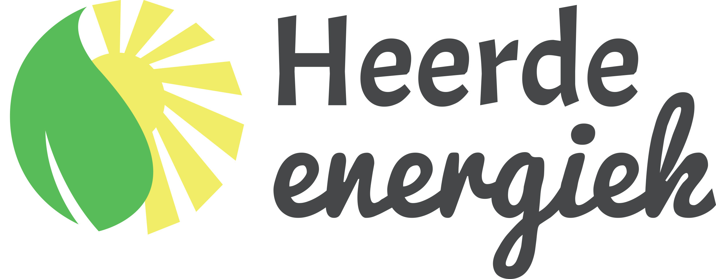 Logo Heerde Energiek